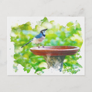Carte Postale Jay bleu à l'aquarelle du bain d'oiseaux