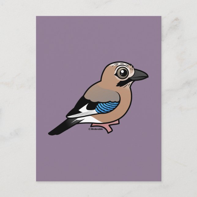 Carte Postale Jay eurasien (Devant)