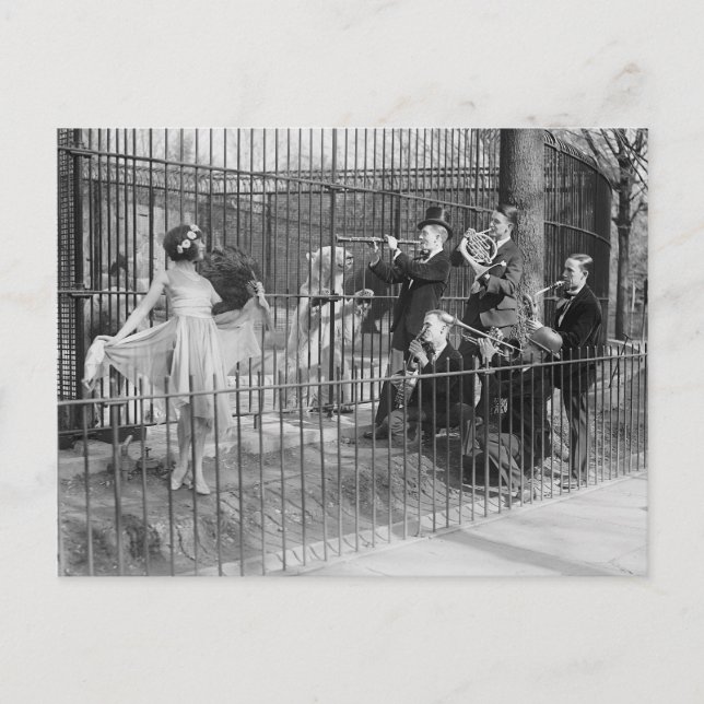 Carte Postale Jazz Band Entertainment Polar Bears, 1925 (Devant)