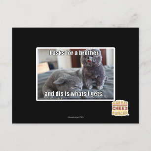 Carte Postale Je demande à un frère