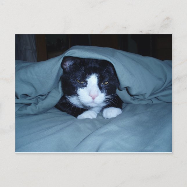 Carte Postale Je déteste lundi ! (Devant)