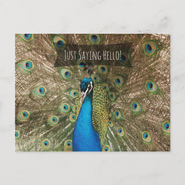 Carte Postale Je Dis Bonjour Bold Peacock Photo Friendly Note (Devant)