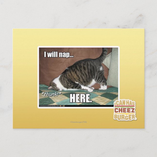 Carte Postale Je ferai une sieste ici (Devant)