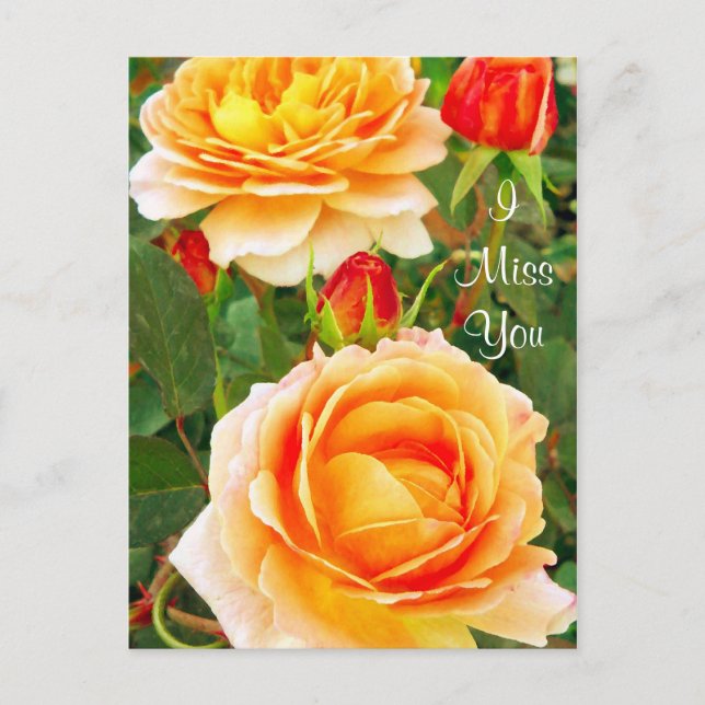 Carte Postale Je Me Rends Compte De Vous/De Toutes Occasions_ Ca (Devant)