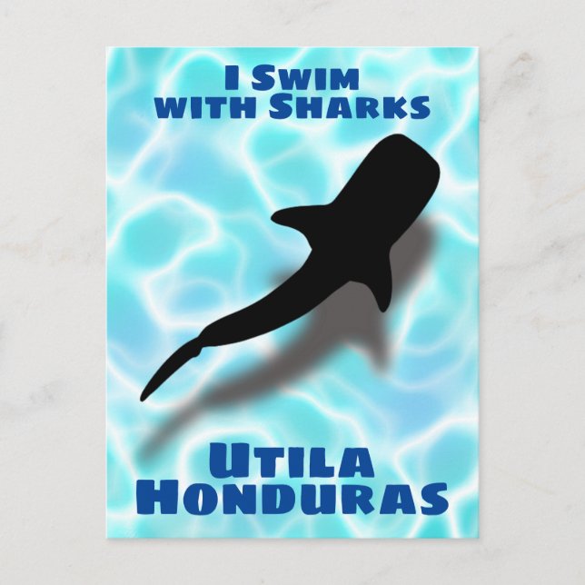 Carte Postale Je nage avec requins Utila, Honduras Requin de bal (Devant)