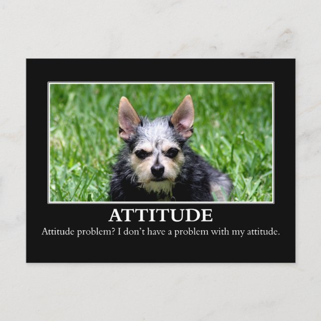 Carte Postale Je n'ai pas de problème d'attitude (Devant)