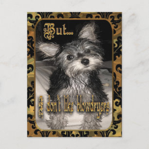 Carte Postale Je n'aime pas les sèche-cheveux Yorkie