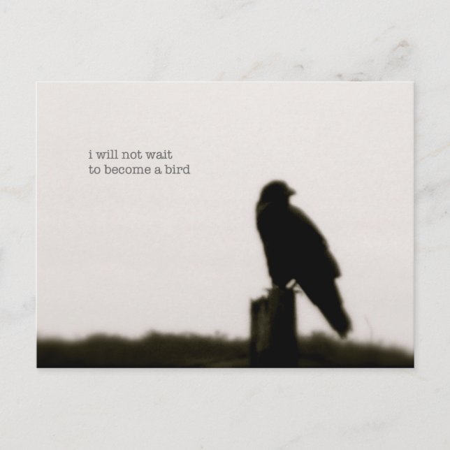 Carte Postale "je n'attendrai pas" (Devant)
