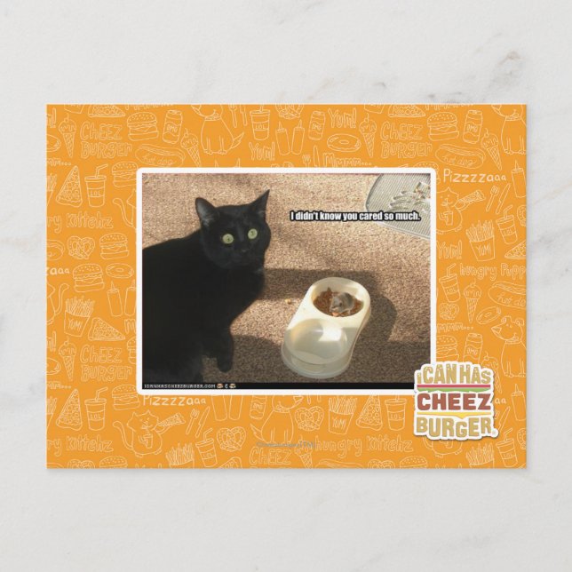 Carte Postale Je ne sais pas que vous vous êtes inquiétés (Devant)