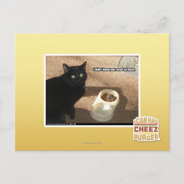 Carte Postale Je ne sais pas que vous vous êtes inquiétés (Devant)