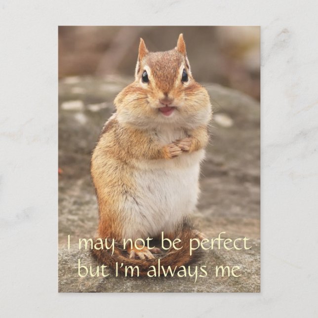 Carte Postale Je ne suis pas parfait Chipmunk Citation Postcard (Devant)