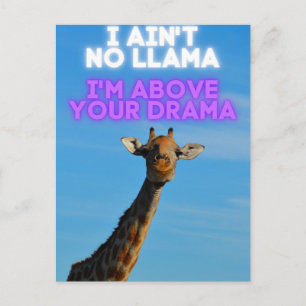 Carte Postale Je ne suis pas un lama, je suis au-dessus de votre