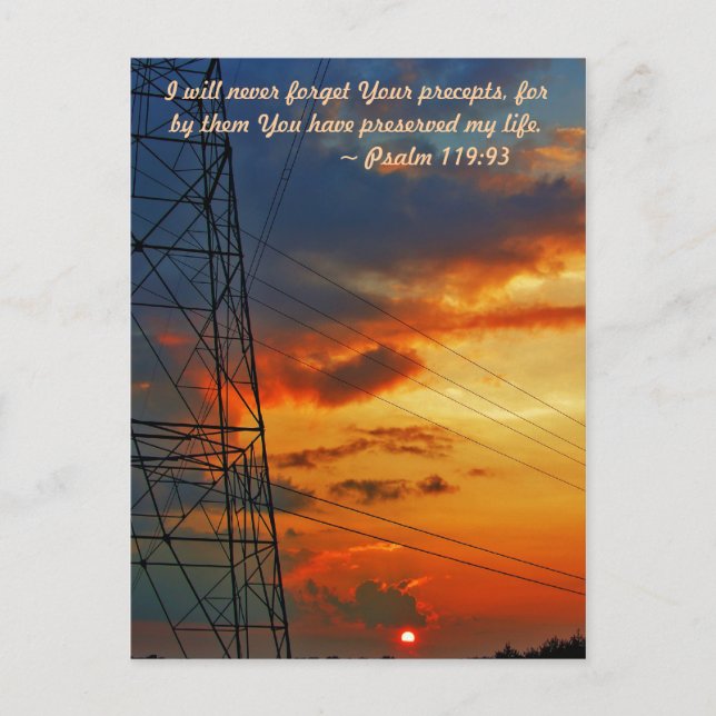 Carte Postale Je n'oublierai jamais vos préceptes, car par eux v (Devant)