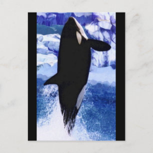 Carte Postale Je Pense Que Je Peux Voler