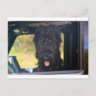 Carte Postale Je possède cette jeep