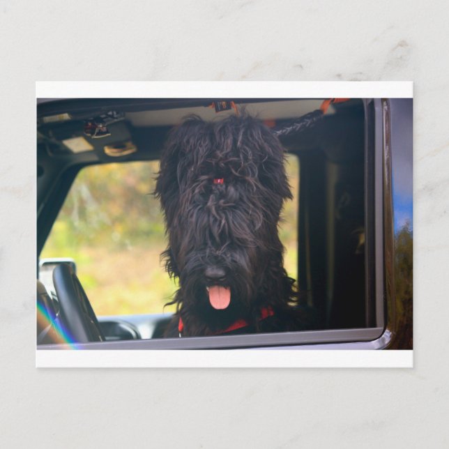 Carte Postale Je possède cette jeep (Devant)