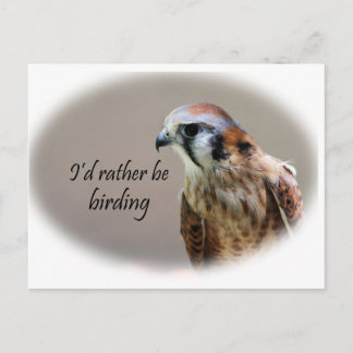 Carte Postale Je préférerais être Birding