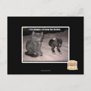 Carte Postale Je répare le chiot