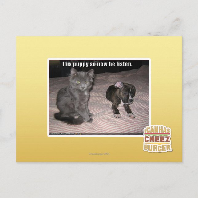 Carte Postale Je répare le chiot (Devant)