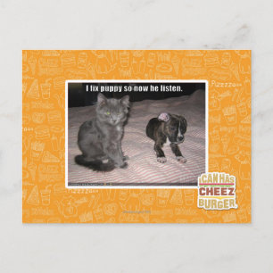 Carte Postale Je répare le chiot