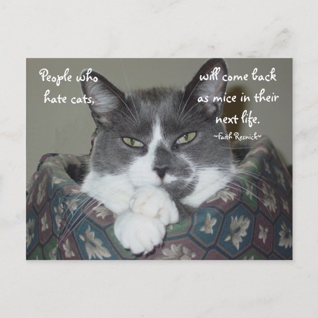 Carte Postale Je Suis Chat... (Devant)