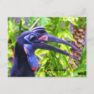 Carte Postale Je suis désolé/Pardonnez-moi/Carte postale de manq