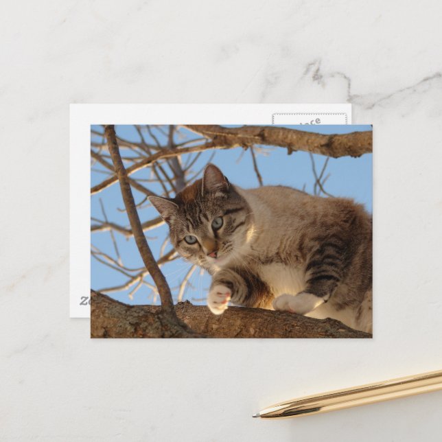 Carte Postale Je suis ici (Devant/Arrière en situation)