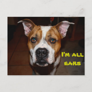 carte postale je suis toute oreille