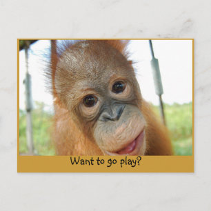 Carte Postale Je suis un mignon primate