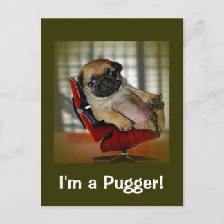 Carte Postale Je suis un Pugger !