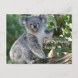 Carte Postale Je suis une authentique Australienne : mignonne ko