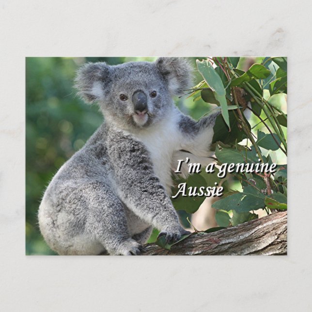 Carte Postale Je suis une authentique Australienne : mignonne ko (Devant)