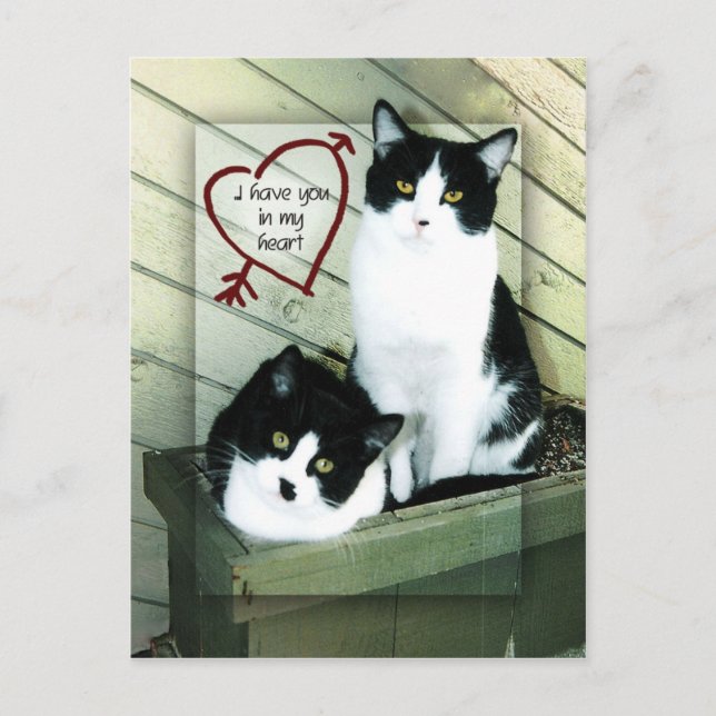 Carte Postale Je t'ai dans mon coeur (Devant)