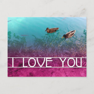 Carte Postale je t'aime : paire de canards