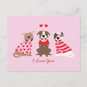 Carte Postale Je T'Aime Valentines American Pit Bull Terriers