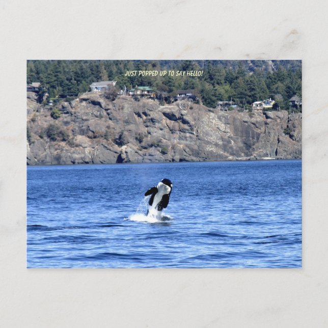 Carte Postale Je Viens De Presser Pour Dire Bonjour ! (Devant)