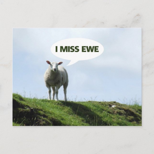 Carte Postale Je vous manque Funny Sheep Brebis (Devant)