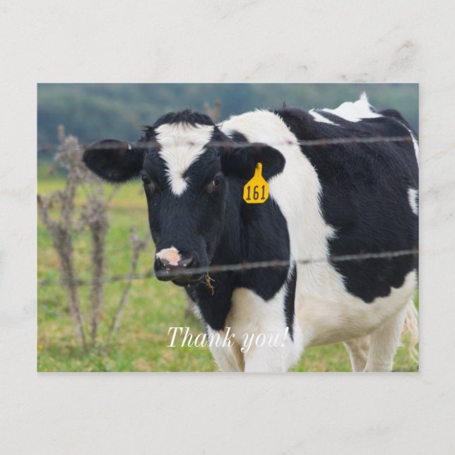 Carte postale Je vous vois Merci (Devant)