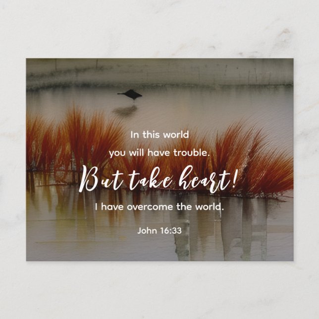 Carte Postale Jean 16:33 J'ai surmonté la Bible Verse Christian (Devant)