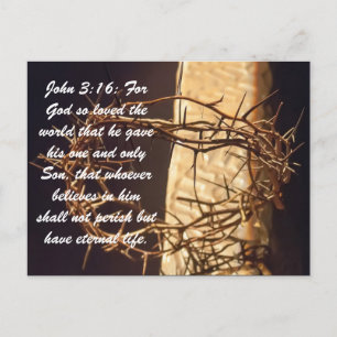 Carte Postale Jean 3:16 : Car Dieu a tant aimé le monde qu'il a 