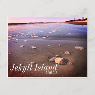 Carte Postale Jekyll Island Georgia Sand Dollar Beach