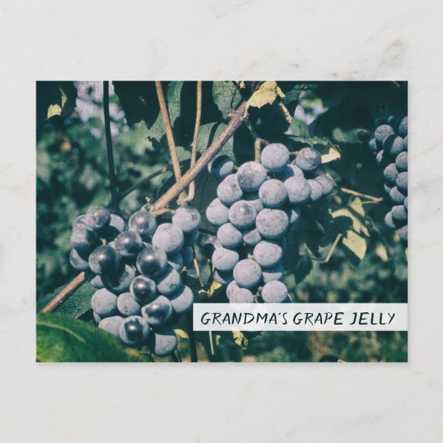Carte Postale Jelée de raisin de grand-mère Recette de pépins po (Devant)