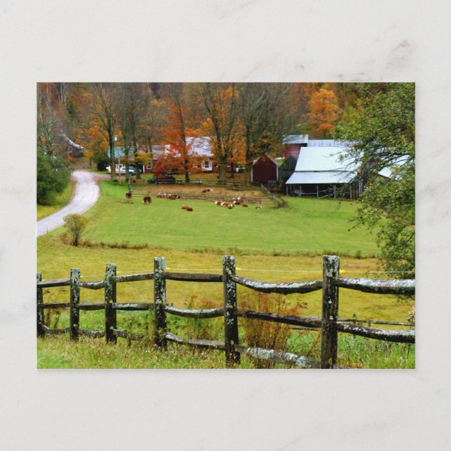 Carte postale Jenne Farm (Devant)