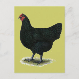 Carte Postale Jersey Giant : Poule noire