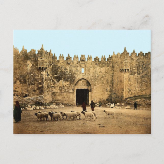 Carte Postale Jérusalem - Porte de Damas (Devant)