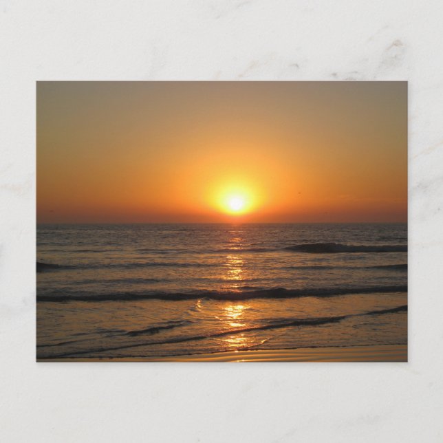 Carte Postale Jess&apos ; Correction 146_3 (Devant)