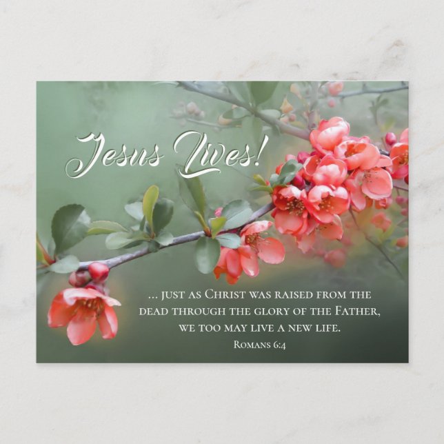 Carte Postale Jésus vit les fleurs du printemps Bible et Pâques (Devant)