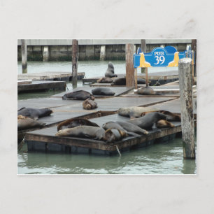 Carte Postale Jetée 39