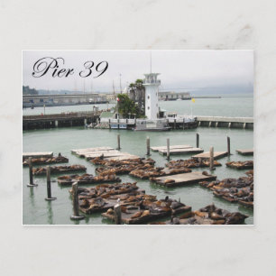 Carte Postale Jetée 39