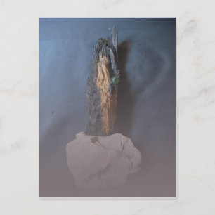 Carte Postale Jeu de sculpture